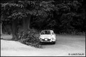 Barum Rally 1980