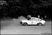 Barum Rally 1980