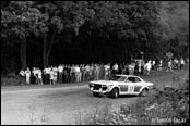 Barum Rally 1980