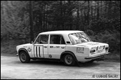 Rallye esk Krumlov 1980