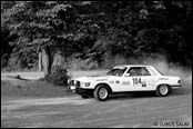 Barum Rally 1981