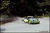 Barum Rally 1981