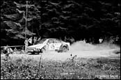 Rallye esk Krumlov 1981