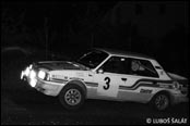 20. Rallye umava 1985