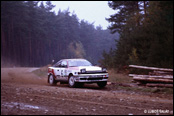 3-Stdte Rallye 1990, Nmecko