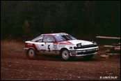 3-Stdte Rallye 1990, Nmecko