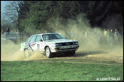 3-Stdte Rallye 1990, Nmecko