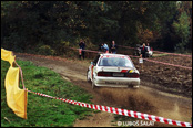 3-Stdte Rallye 1990, Nmecko