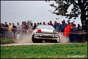 3-Stdte Rallye 1990, Nmecko