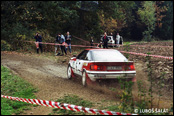 3-Stdte Rallye 1990, Nmecko