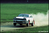 3-Stdte Rallye 1990, Nmecko