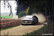 3-Stdte Rallye 1990, Nmecko