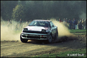 3-Stdte Rallye 1990, Nmecko