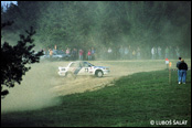 3-Stdte Rallye 1990, Nmecko