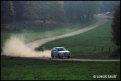 3-Stdte Rallye 1990, Nmecko