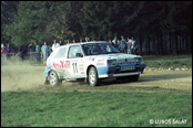 3-Stdte Rallye 1990, Nmecko