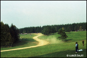 3-Stdte Rallye 1990, Nmecko