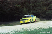 3-Stdte Rallye 1990, Nmecko