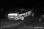 3-Stdte Rallye 1990, Nmecko