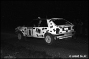 3-Stdte Rallye 1990, Nmecko