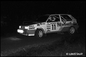 3-Stdte Rallye 1990, Nmecko