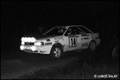 3-Stdte Rallye 1990, Nmecko