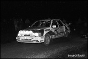 3-Stdte Rallye 1990, Nmecko