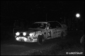 3-Stdte Rallye 1990, Nmecko