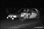 3-Stdte Rallye 1990, Nmecko