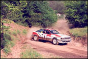 Acropolis Rally 1991