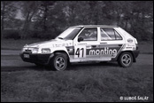 Rally Pbram 1993