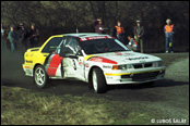 Rallye umava 1993