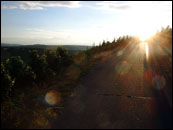 ADAC Rallye Deutschland 2003 - zapadajc slunce ve vinicch