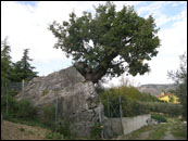 Rallylegend 2007, San Marino