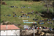 Rallye Monte Carlo 2007 - atmosfra