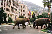 Rallye Monte Carlo 2007 - Monte Carlo - atmosfra