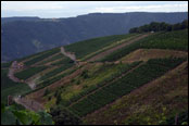 ADAC Rallye Deutschland 2010 - vinice