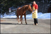 Rallye Monte Carlo Historique 2011