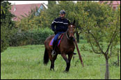 Rallye de France - Alsace 2013: Policista na koni