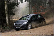 Test - Jan ern - Peugeot 208 R2