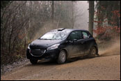 Test - Jan ern - Peugeot 208 R2