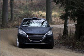 Test - Jan ern - Peugeot 208 R2