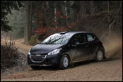 Test - Jan ern - Peugeot 208 R2