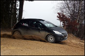 Test - Jan ern - Peugeot 208 R2