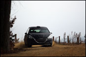 Test - Jan ern - Peugeot 208 R2