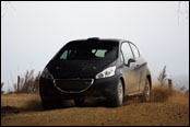 Test - Jan ern - Peugeot 208 R2