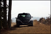 Test - Jan ern - Peugeot 208 R2