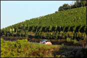 ADAC Rallye Deutschland 2014