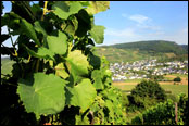 ADAC Rallye Deutschland 2015