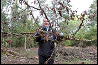 Pořadatelé rallye strávili sobotní den obnovou lesa 2020